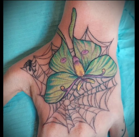 Bonnie Seeley - Bonnie Seeley Luna Moth